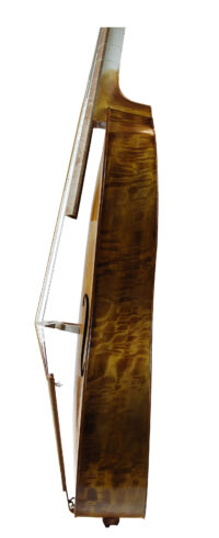 VIOLA DA GAMBA BASSO SB-ALL-002