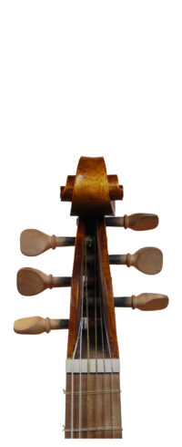 VIOLA DA GAMBA BASSO SB-ALL-002