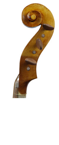 VIOLA DA GAMBA BASSO SB-ALL-002