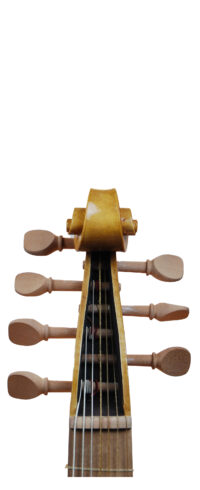 VIOLA DA GAMBA BASSO SB-ALL-003