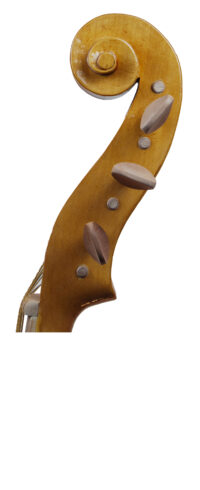 VIOLA DA GAMBA BASSO SB-ALL-003