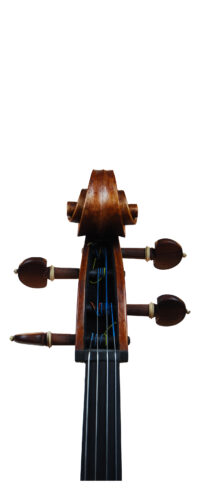 VIOLONCELLO VL-FC-001