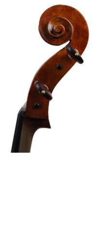 VIOLONCELLO VL-FC-001